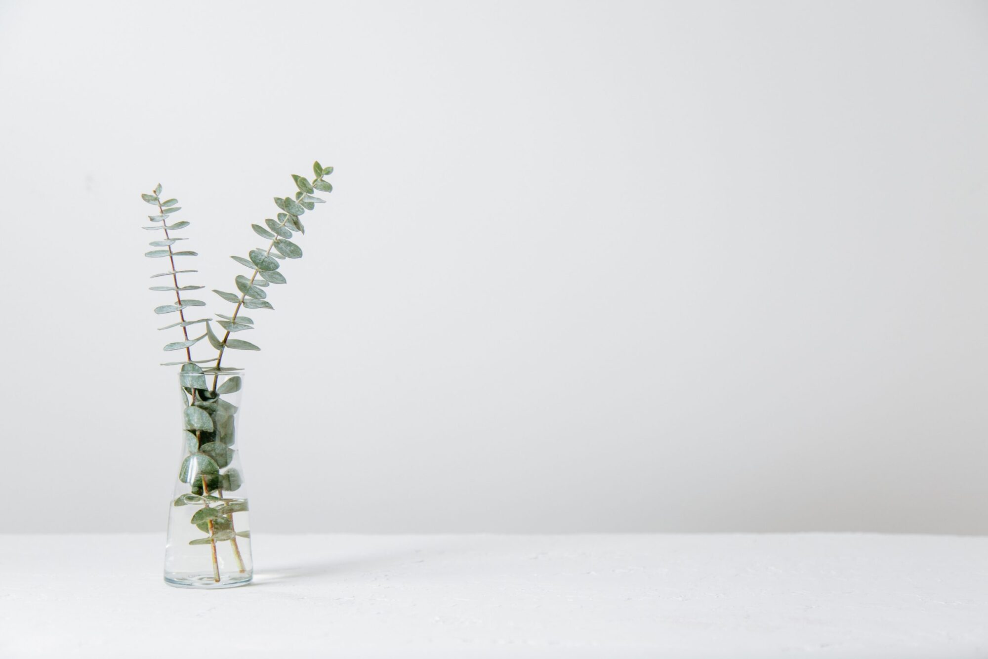 vase med blomst i