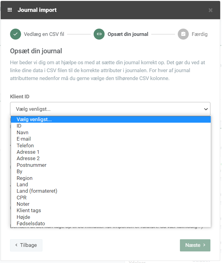 Billede der viser journalimport